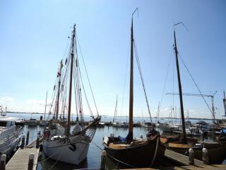 DSC00797.JPG
