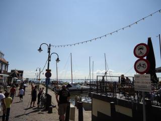 DSC00795.JPG