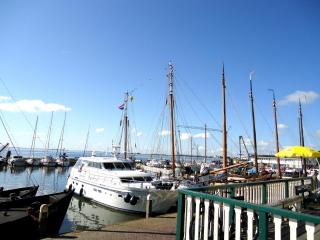 DSC00772.JPG