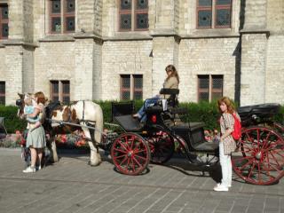 DSC00952.JPG