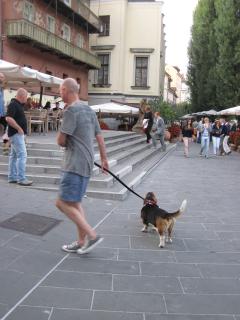 IMG_2980.JPG