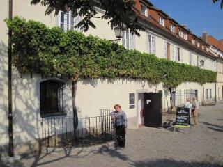 IMG_3059.JPG