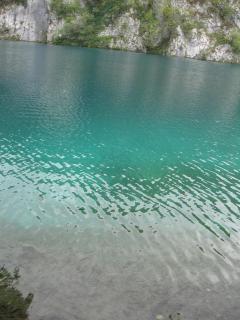 IMG_8556.JPG