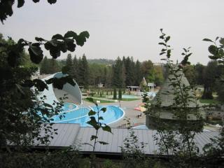 IMG_2430.JPG