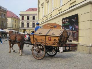 IMG_2409.JPG