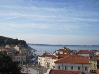 IMG_2893.JPG