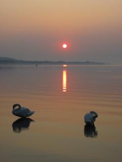 IMG_3097.JPG