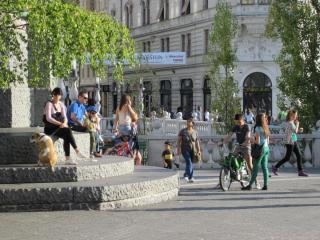 IMG_2960.JPG