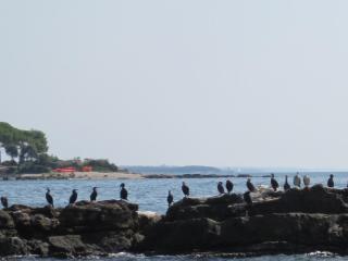 IMG_2838.JPG