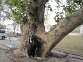 IMG_2452.JPG