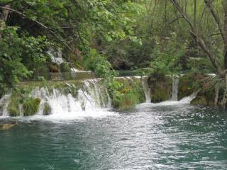 IMG_2734.JPG