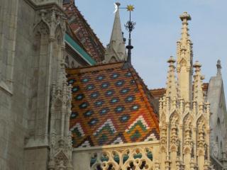 IMG_2462.JPG