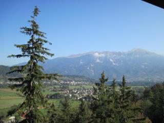 IMG_2996.JPG