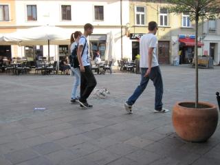 IMG_3067.JPG