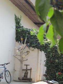 IMG_2565.JPG
