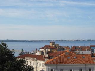 IMG_2892.JPG