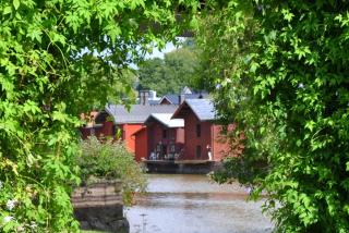 DSC_1003--.jpg