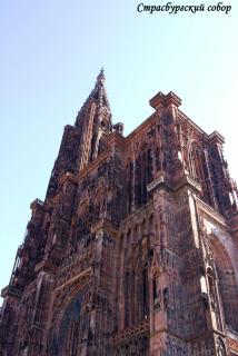 _MG_3481.JPG