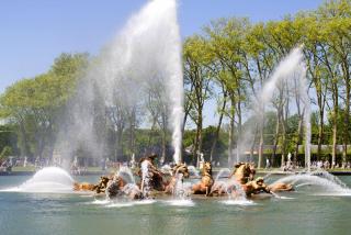 IMG_-3222.jpg