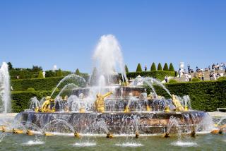 IMG_-3229.jpg