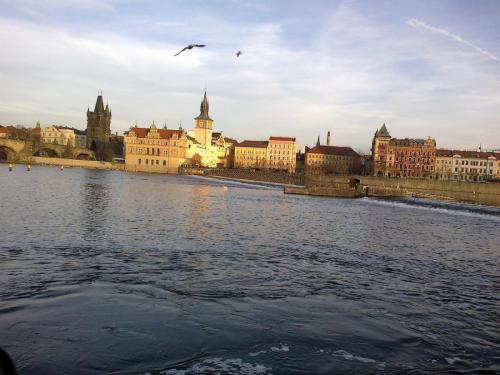 декабрь 2016111 042.jpg