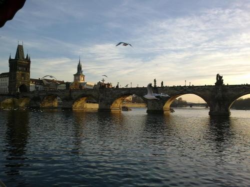 декабрь 2016111 043.jpg