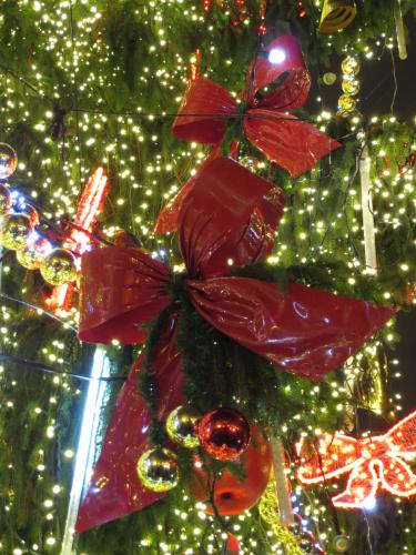 IMG_4149.JPG