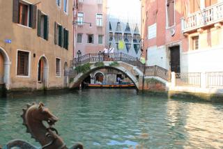 IMG_0685.jpg