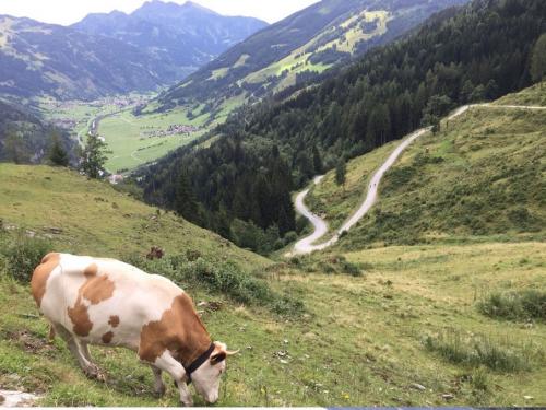 Отпуск с семьей в горах Гаштайна3.jpg