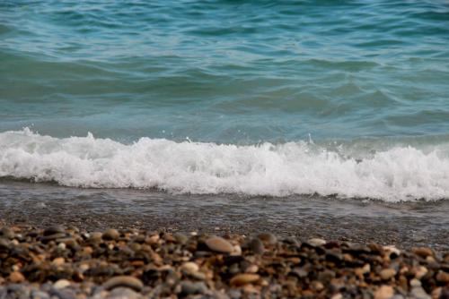 IMG_2159.JPG
