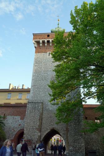 DSC06552.jpg