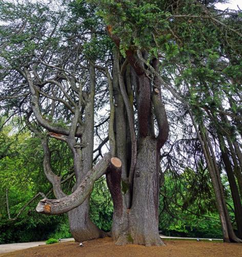 Панорама 1  3.jpg