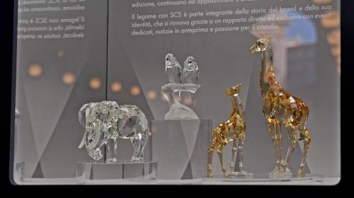 милан P1050785.jpg