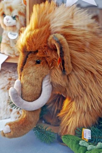 зальцбург P1070941.jpg