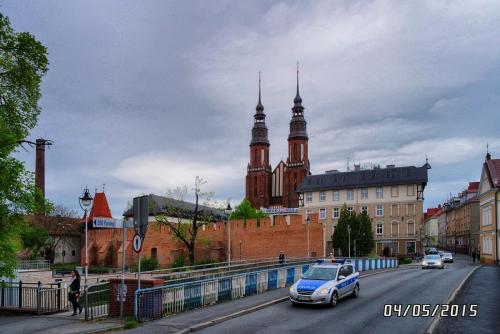 SAM_0810.jpg