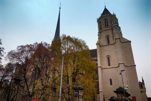 DSC05388.jpg