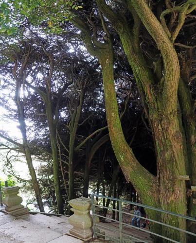 Панорама 6  3.jpg