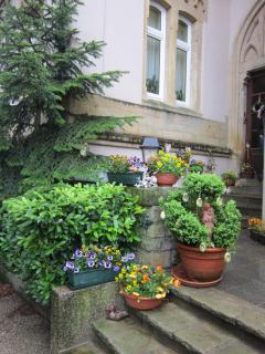 IMG_3749.JPG