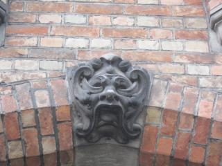 IMG_3455.JPG