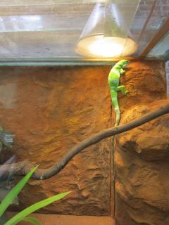 IMG_2719.JPG