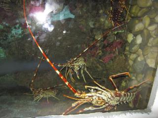 IMG_6440.JPG