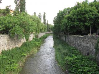IMG_7649.JPG