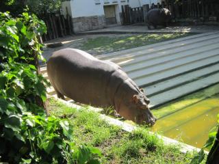 IMG_5543.JPG