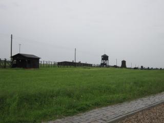 IMG_5287.JPG