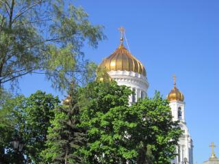 IMG_5168.JPG
