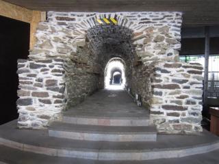 IMG_7784.JPG