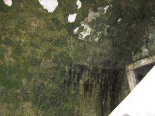 IMG_6383.JPG