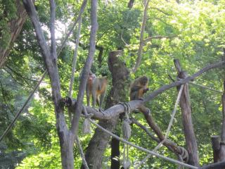 IMG_5599.JPG