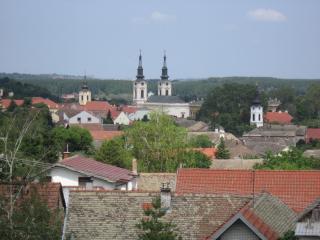 IMG_7345.JPG