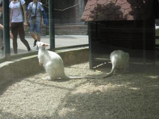IMG_7167.JPG